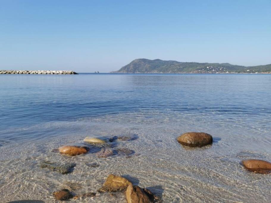 Studio Zen Sud Plage A Pied Pin Rolland Sablettes Saint-Elme Exterior photo