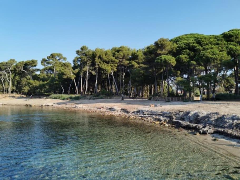 Studio Zen Sud Plage A Pied Pin Rolland Sablettes Saint-Elme Exterior photo
