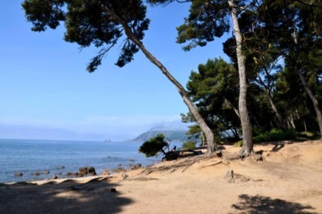 Studio Zen Sud Plage A Pied Pin Rolland Sablettes Saint-Elme Exterior photo